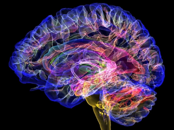 色色视频爽歪歪大脑植入物有助于严重头部损伤恢复